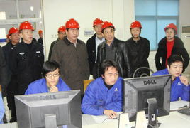 鎮(zhèn)海區(qū)領(lǐng)導(dǎo)節(jié)前深入檢查安全生產(chǎn)，電子商務(wù)行業(yè)獲關(guān)注