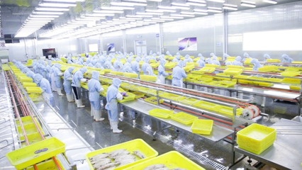 拼多多“商家權益保護委員會”推出惠商新舉措 新質供給賦能外貿工廠，成功打通內銷新通路